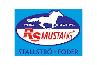 RS Mustang