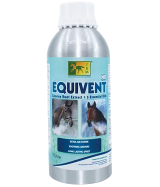 Equivent
